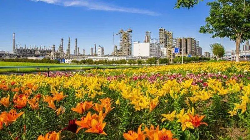 橡胶助剂的隐形力量：从轮胎到密封件的性能密码